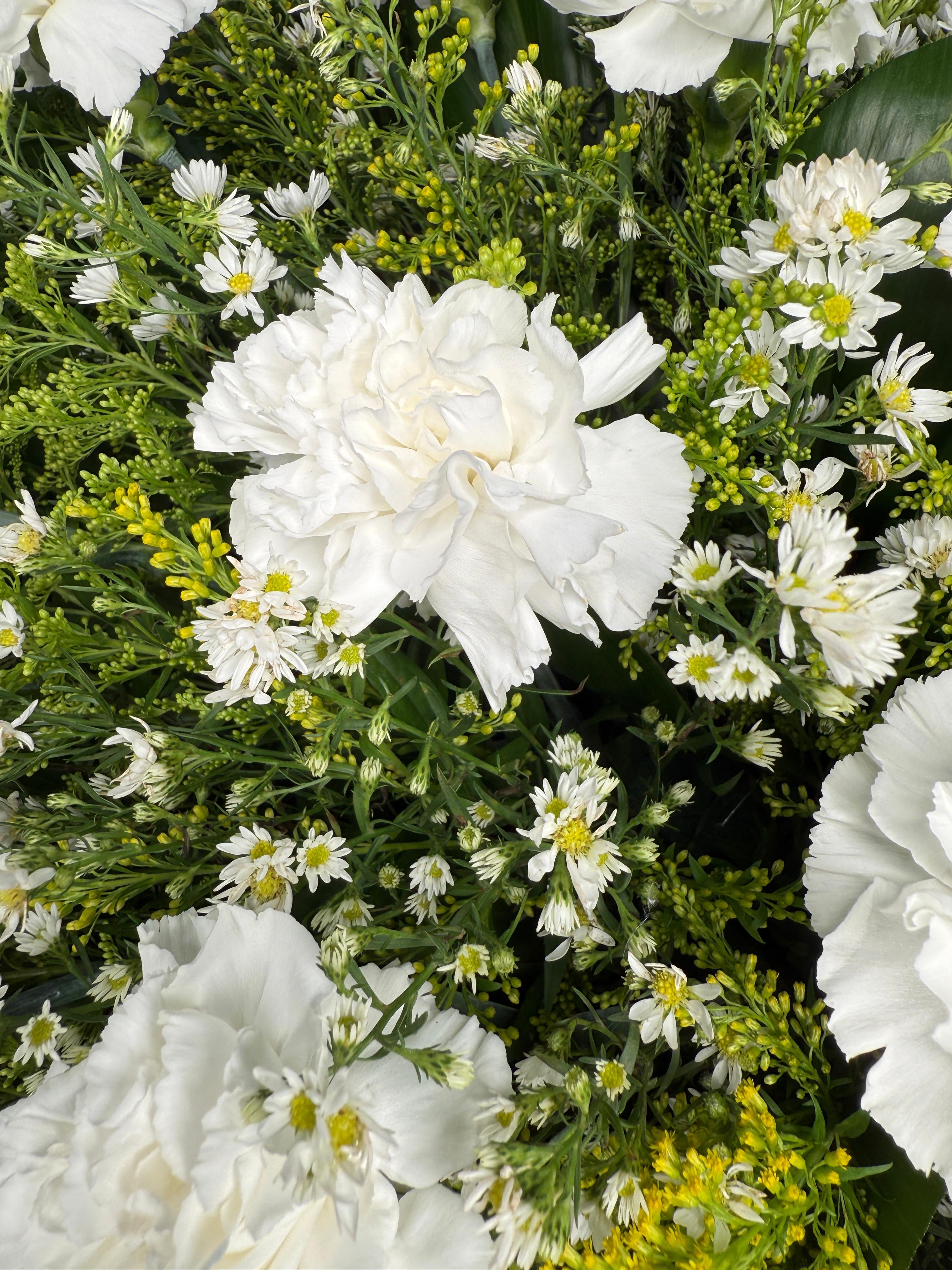 Corona de Claveles – Luz de Despedida