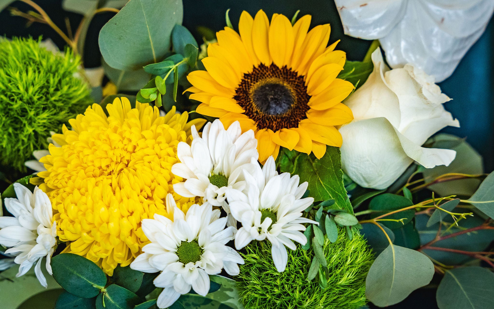 Organic Corredor Floral