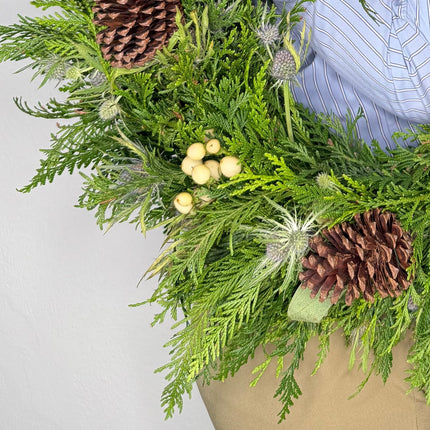 Corona de Pino y Eringyum, de 19