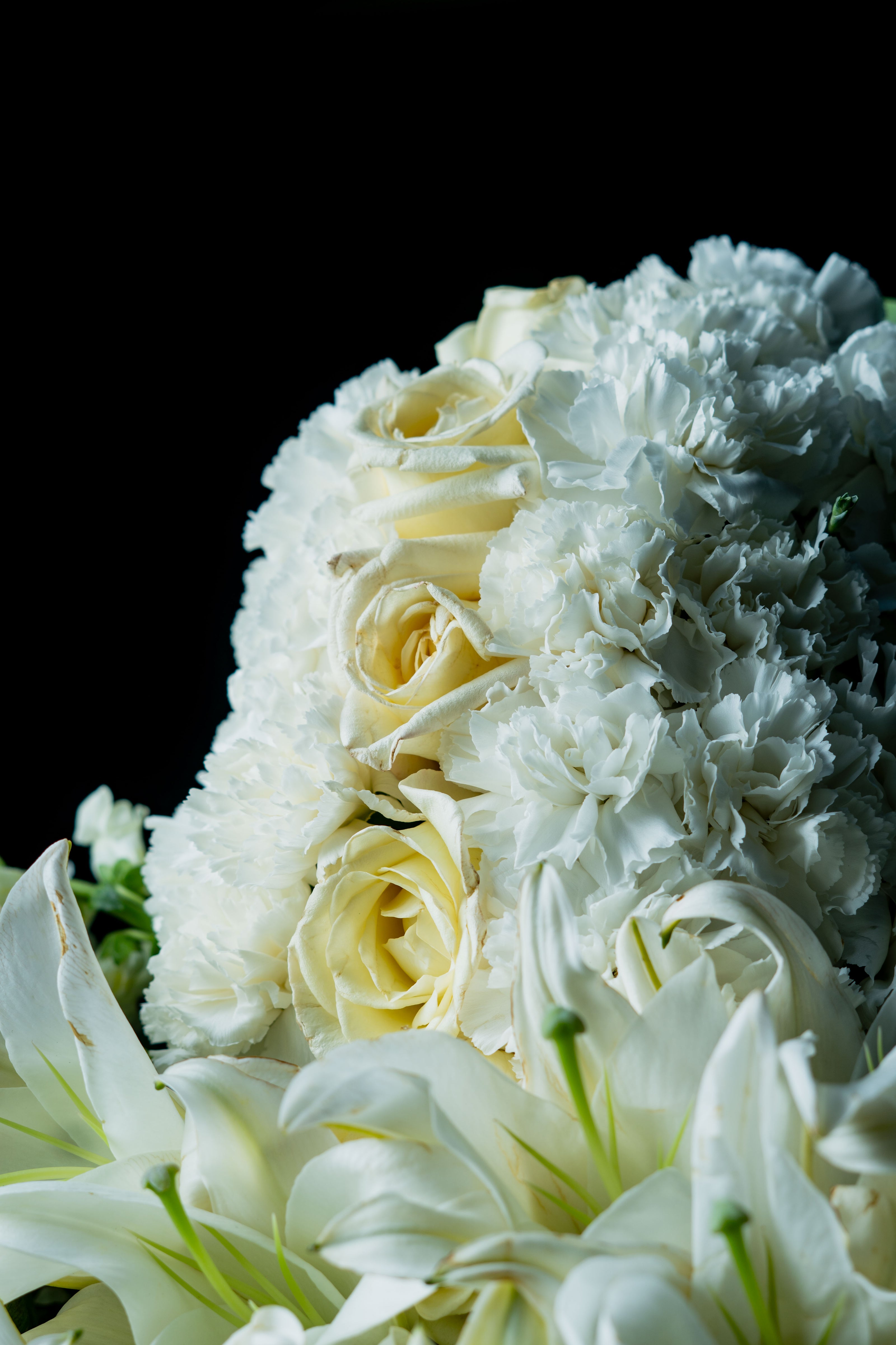 Cruz de Rosas y Lirios – Luz Eterna