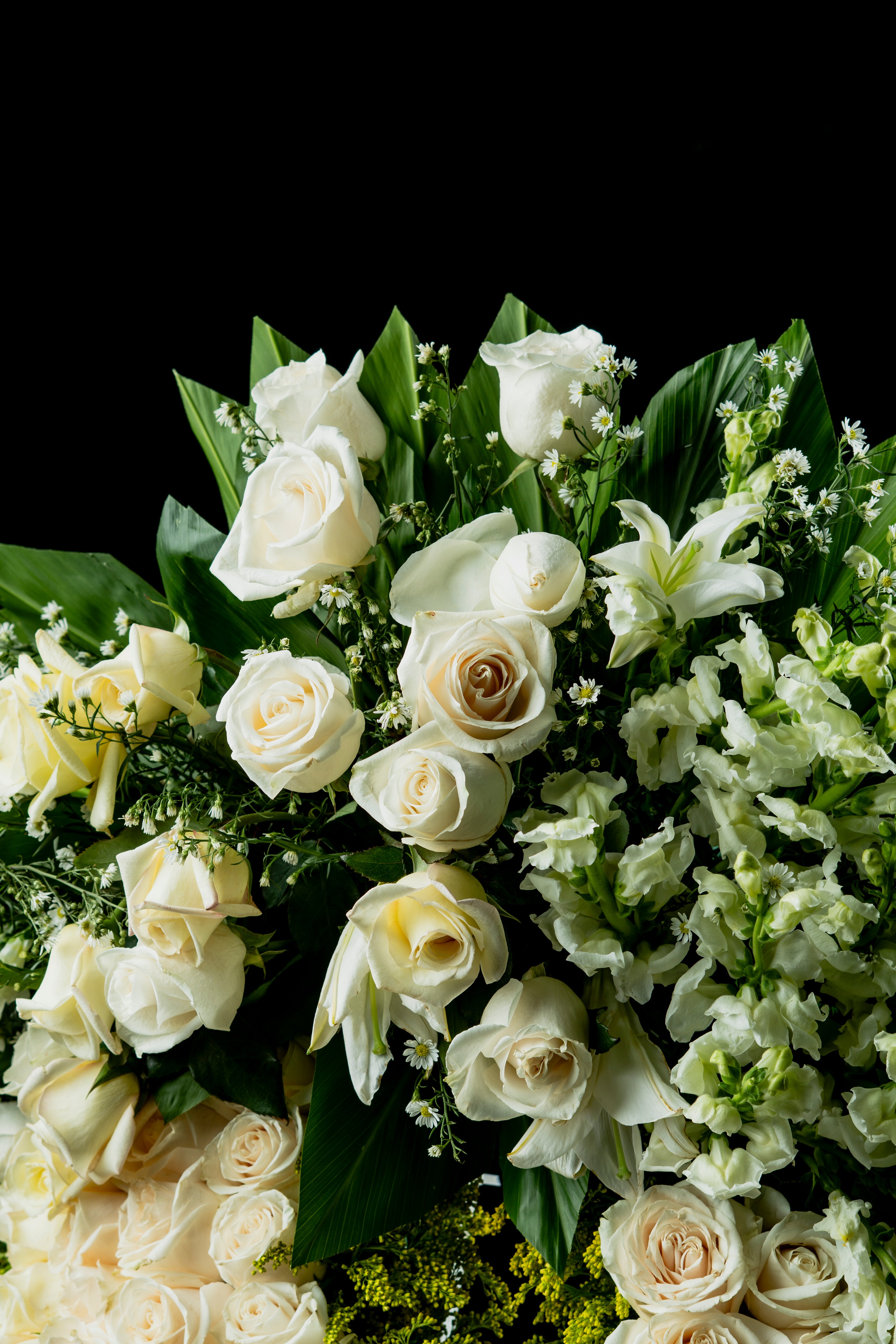 Anillo de Rosas y Calas – Homenaje Sereno