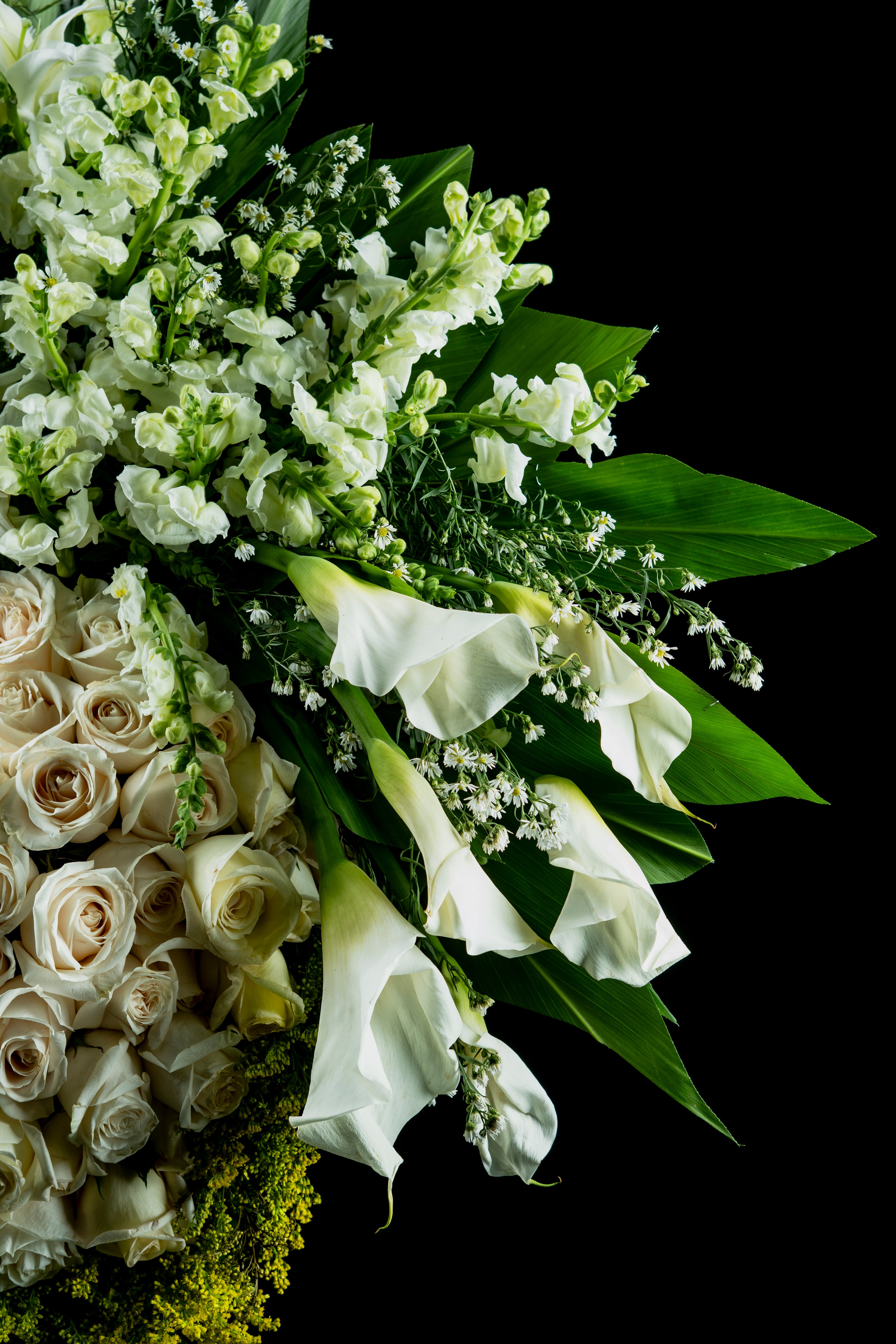 Anillo de Rosas y Calas – Homenaje Sereno