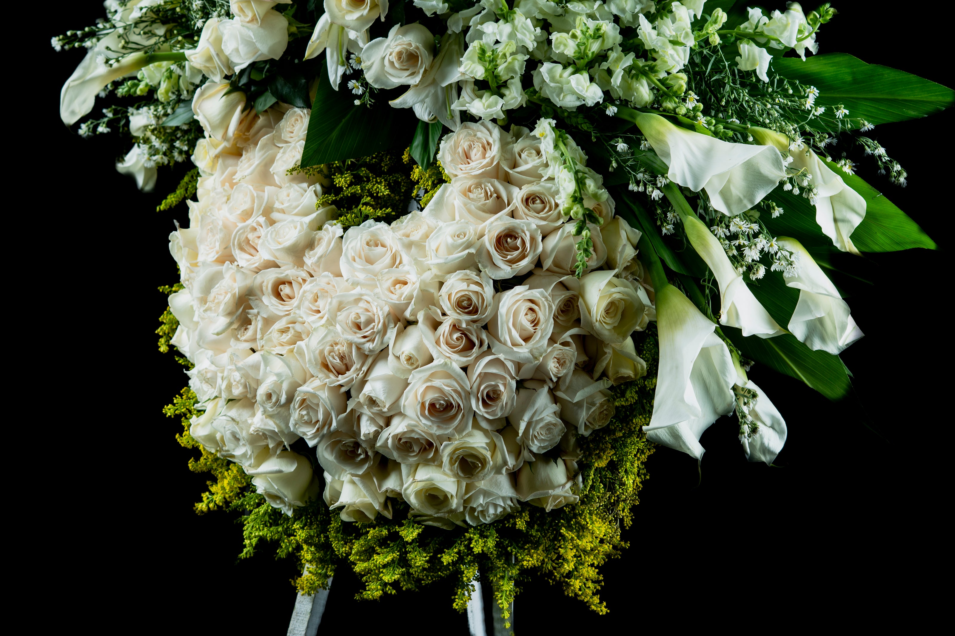 Anillo de Rosas y Calas – Homenaje Sereno