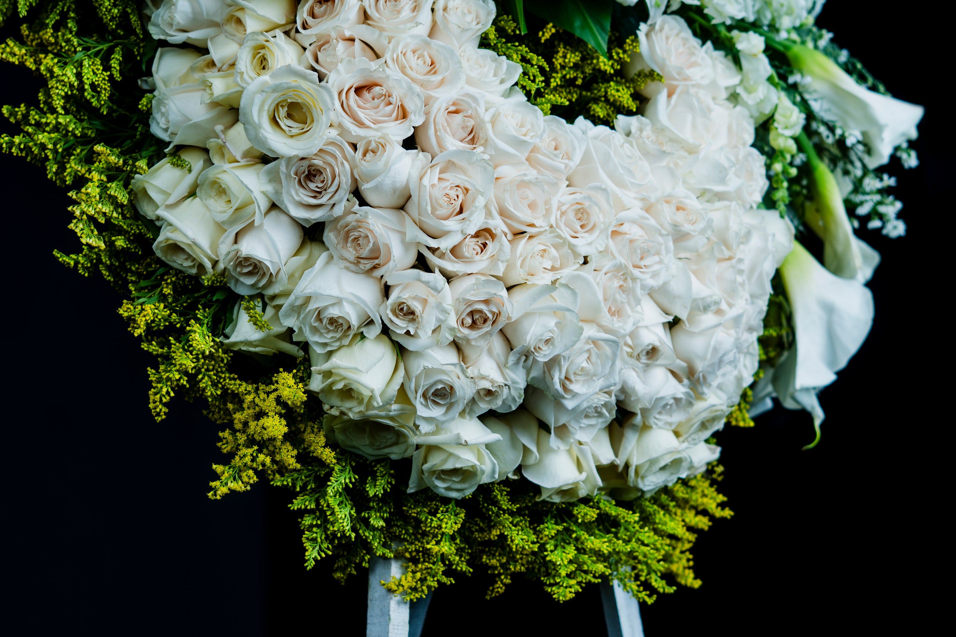 Anillo de Rosas y Calas – Homenaje Sereno