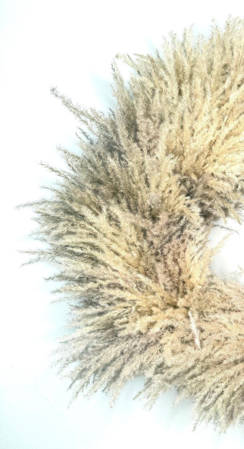 Corona Pampagrass Love, de 19