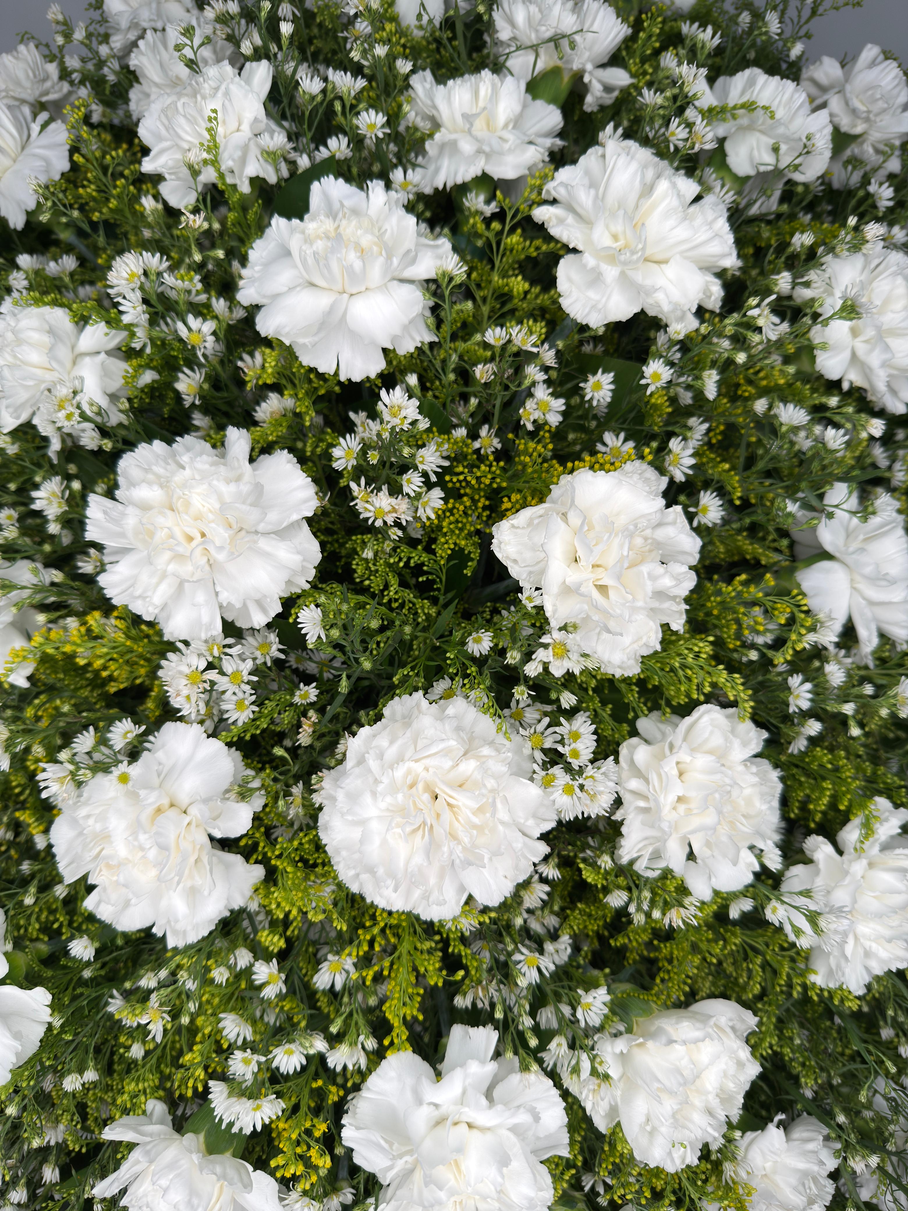 Corona de Claveles – Luz de Despedida