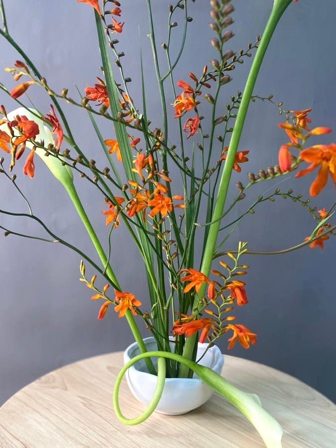Apricot - Centro de Mesa