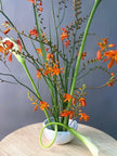 Apricot - Centro de Mesa