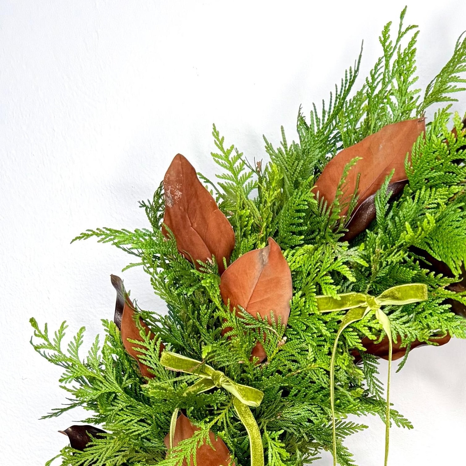 Corona Pasión de Magnolia, de 19