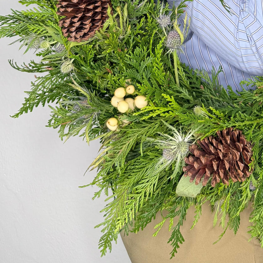 Corona de Pino y Eringyum, de 19