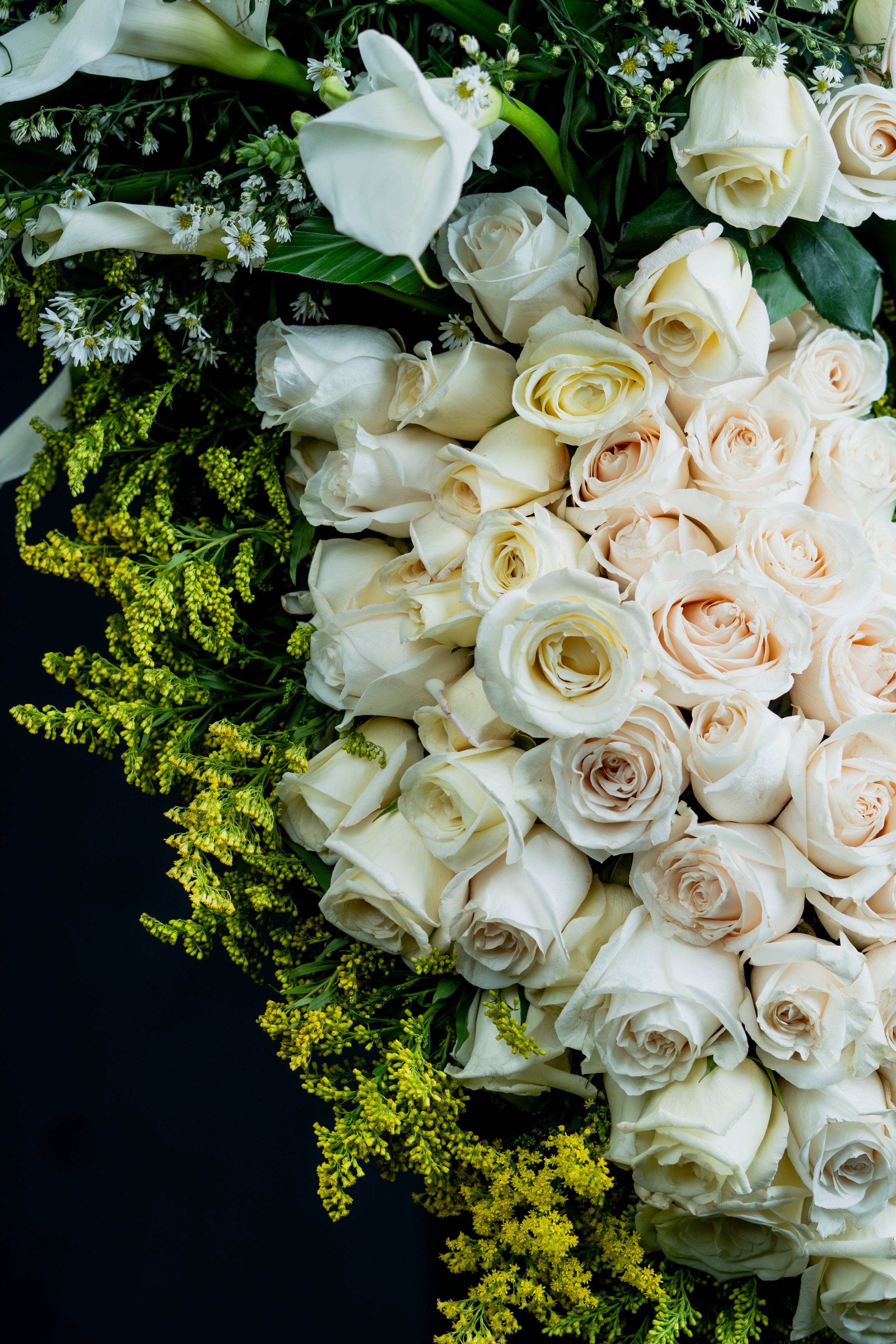 Anillo de Rosas y Calas – Homenaje Sereno