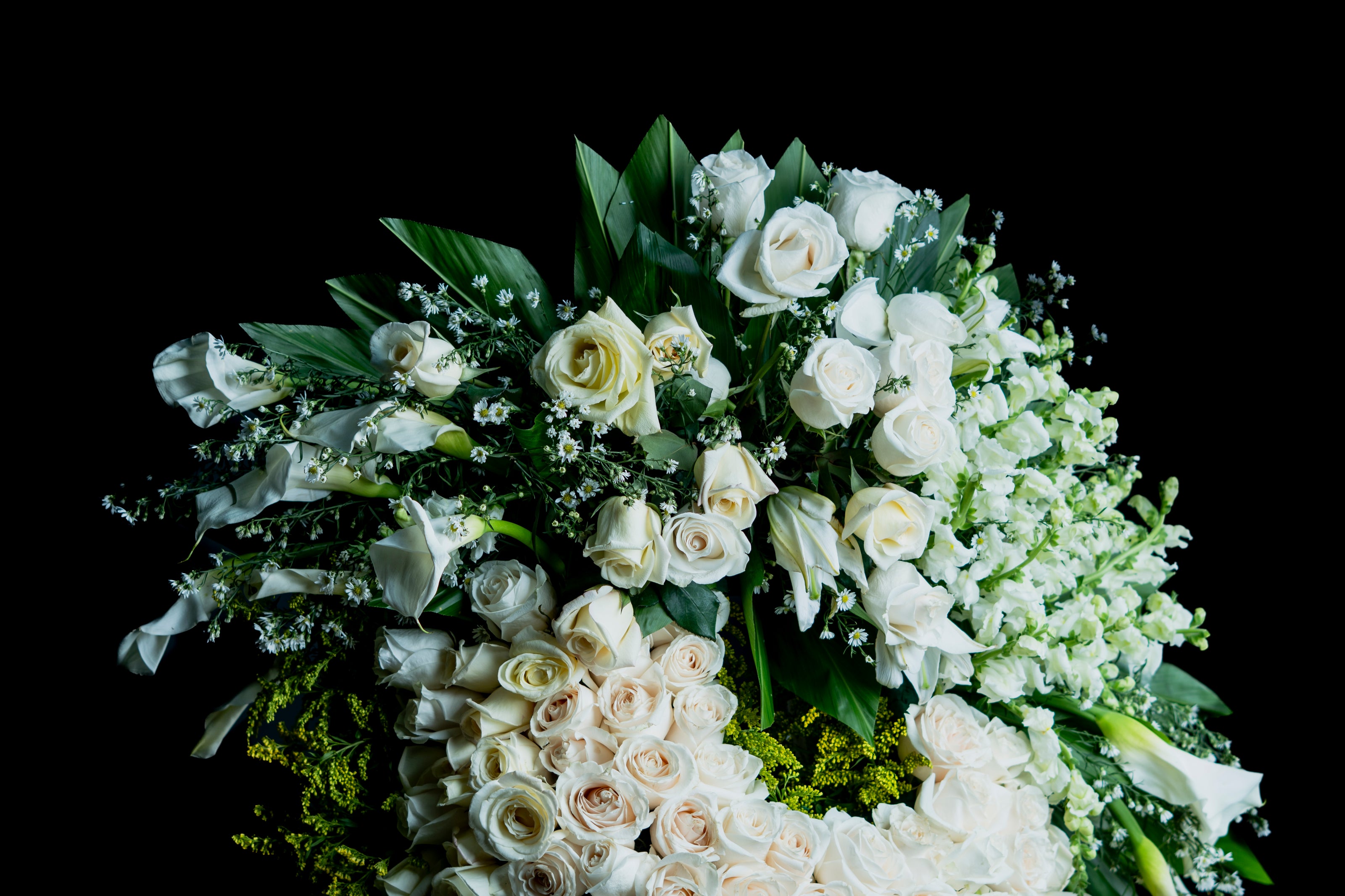 Anillo de Rosas y Calas – Homenaje Sereno