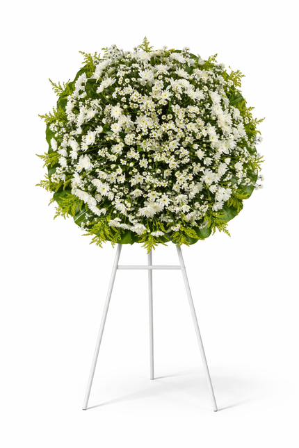 Corona de Margaritas