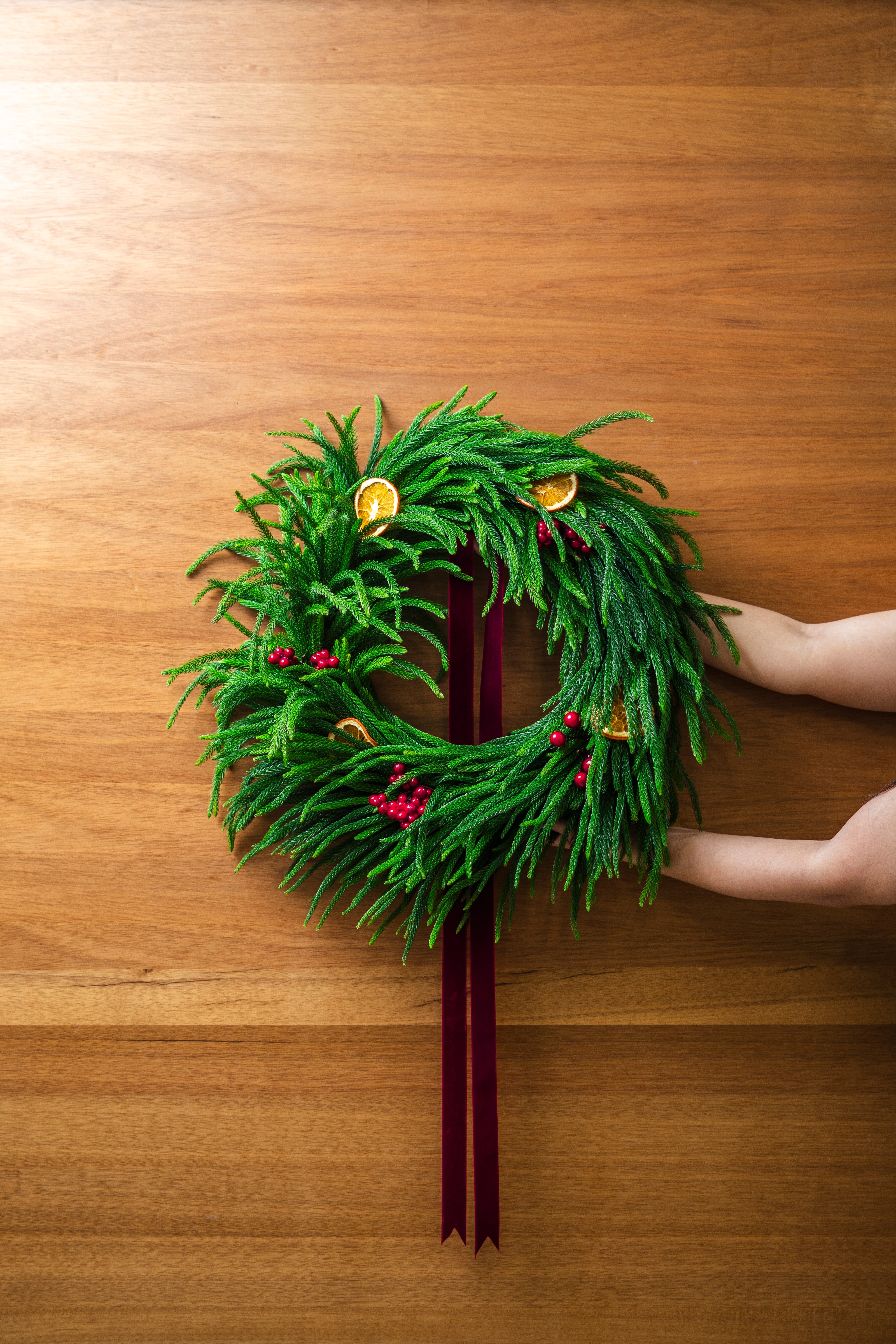 Christmas Wreath Araucaria Pine